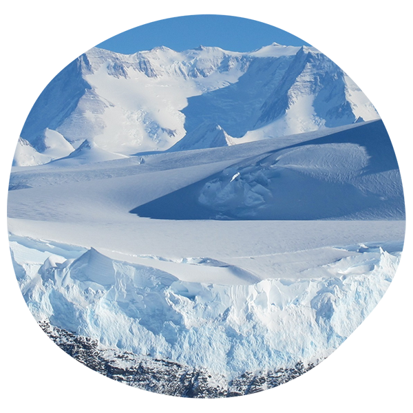 Guide pratique des expéditions vers Antarctique