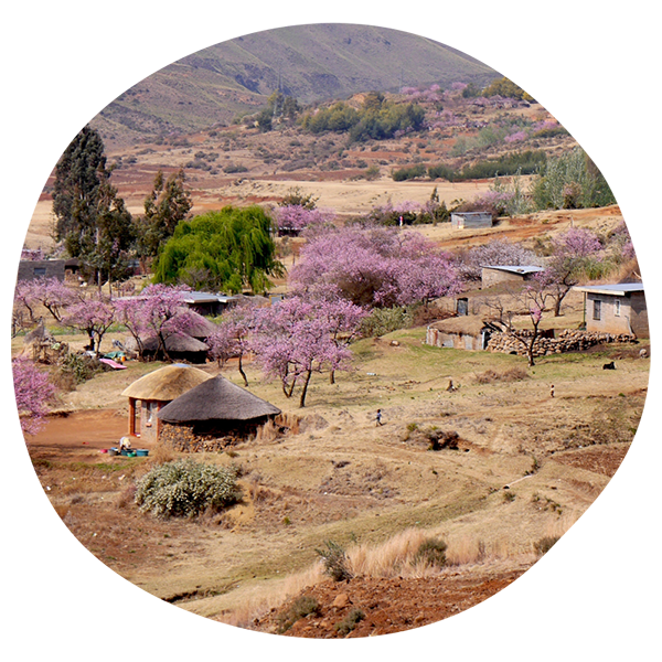 Guide pratique des expéditions vers Lesotho