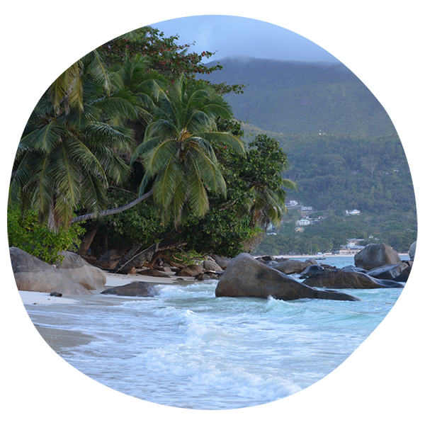 Guide pratique des expéditions vers Seychelles
