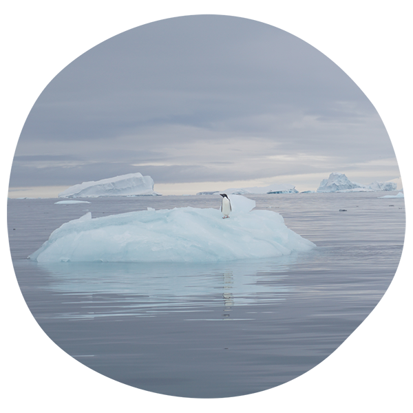 Shipping to Bouvet Island How-to Guide